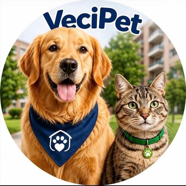 Vecipet